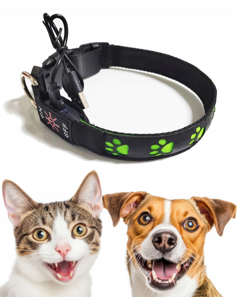 Glowing Cat Dog Collar Adjustable LED Size M 40-50cm COLORS