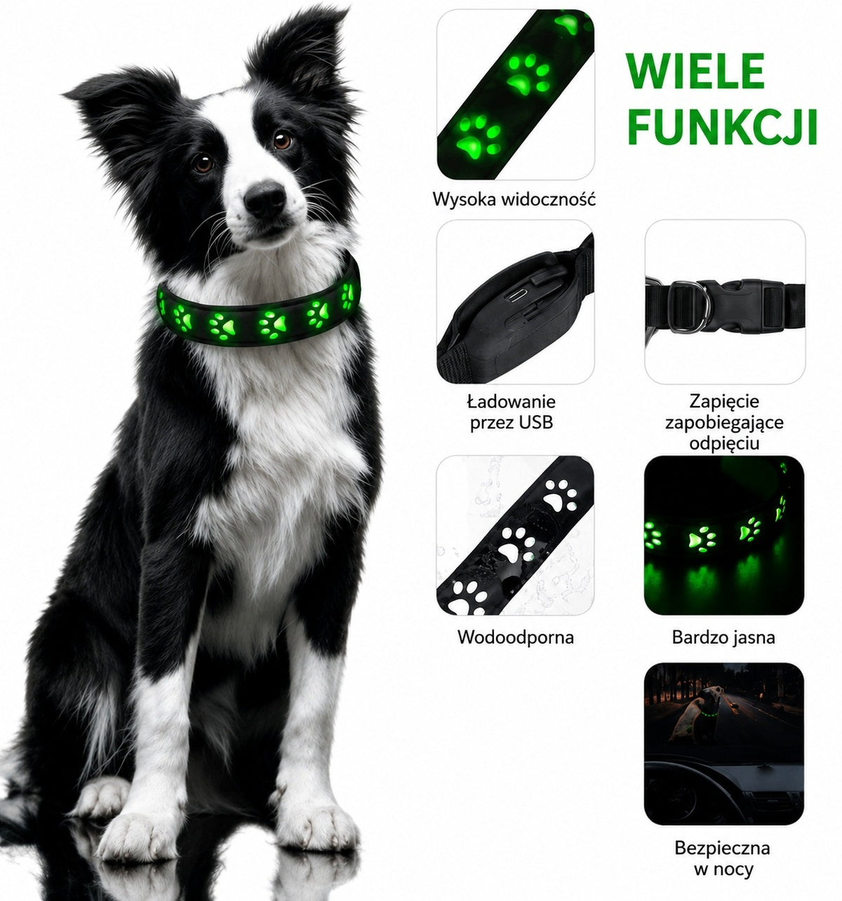 Glowing Cat Dog Collar Adjustable LED Size XS 25-30 cm COLORS