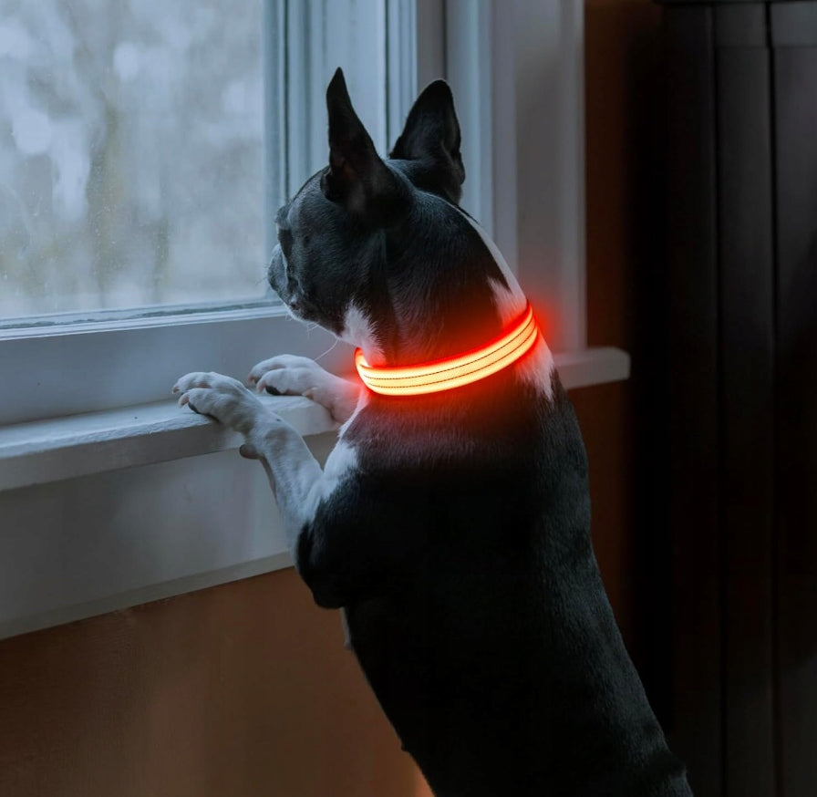 Glowing LED Dog Collar Cat USB Reflective M 50cm Medium Manufacturer code P-S11-O