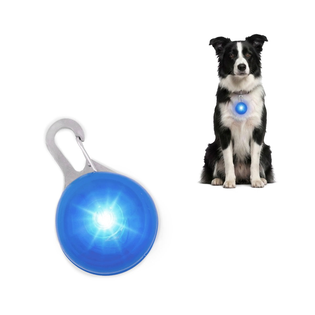 Glowing LED Dog Collar Light MilooPets Blue Night Walk Dog