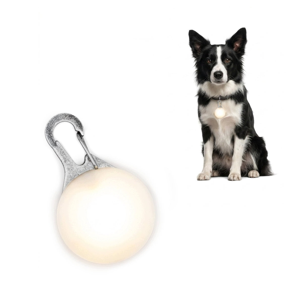 Glowing LED Dog Collar Light MilooPets White 3 Modes Night Walk