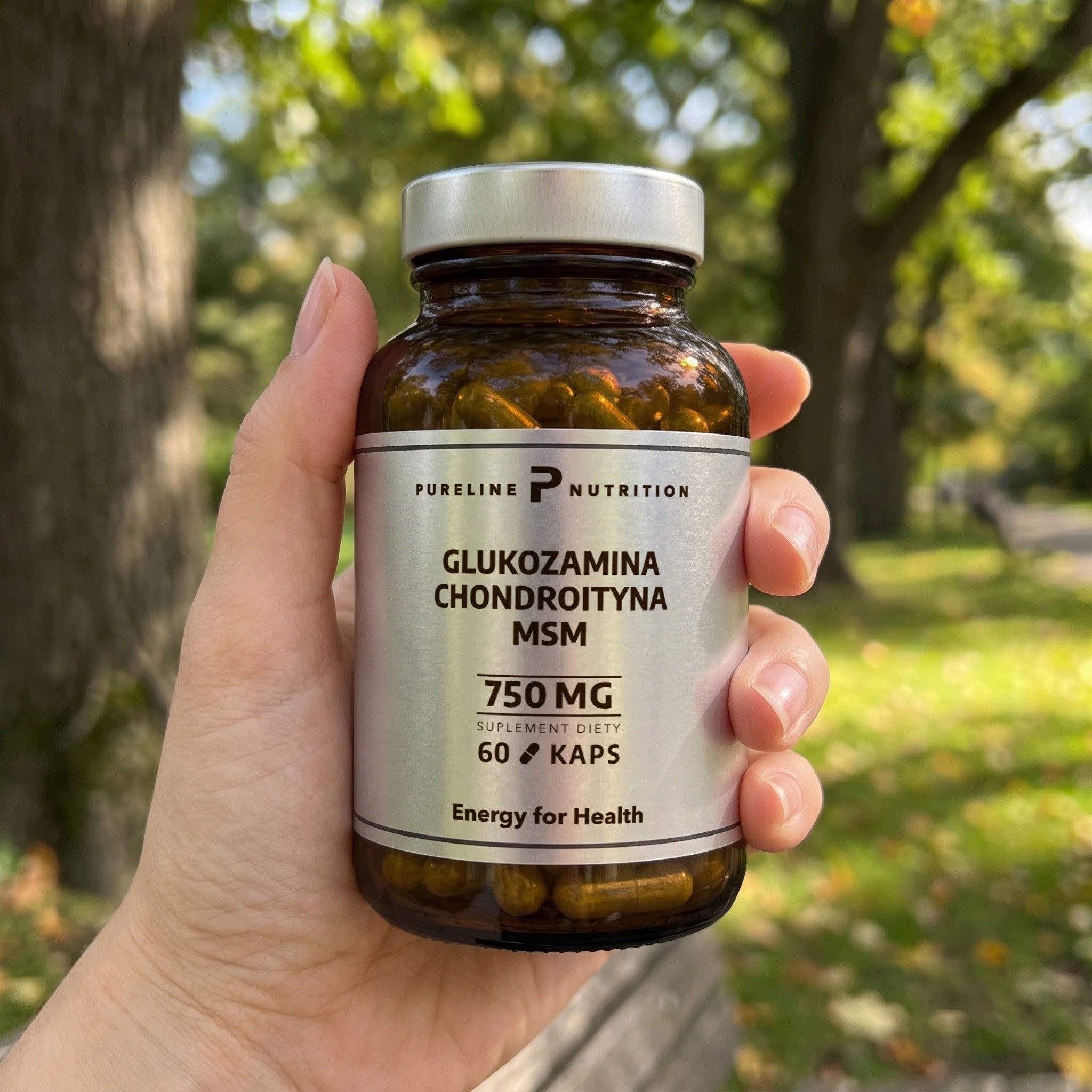 Glucosamine Chondroitin MSM 750 mg 60 capsules KOMPLEX JOINTS BONE KNEES Brand no brand