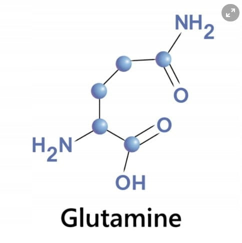 Glutamine Pure Powder 400 g Brand RSI