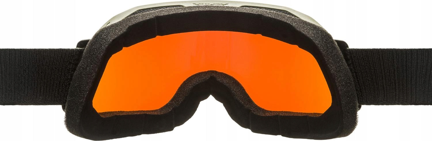 Skibrille Alpina Blackcomb Q-Lite, schwarz/grün 
