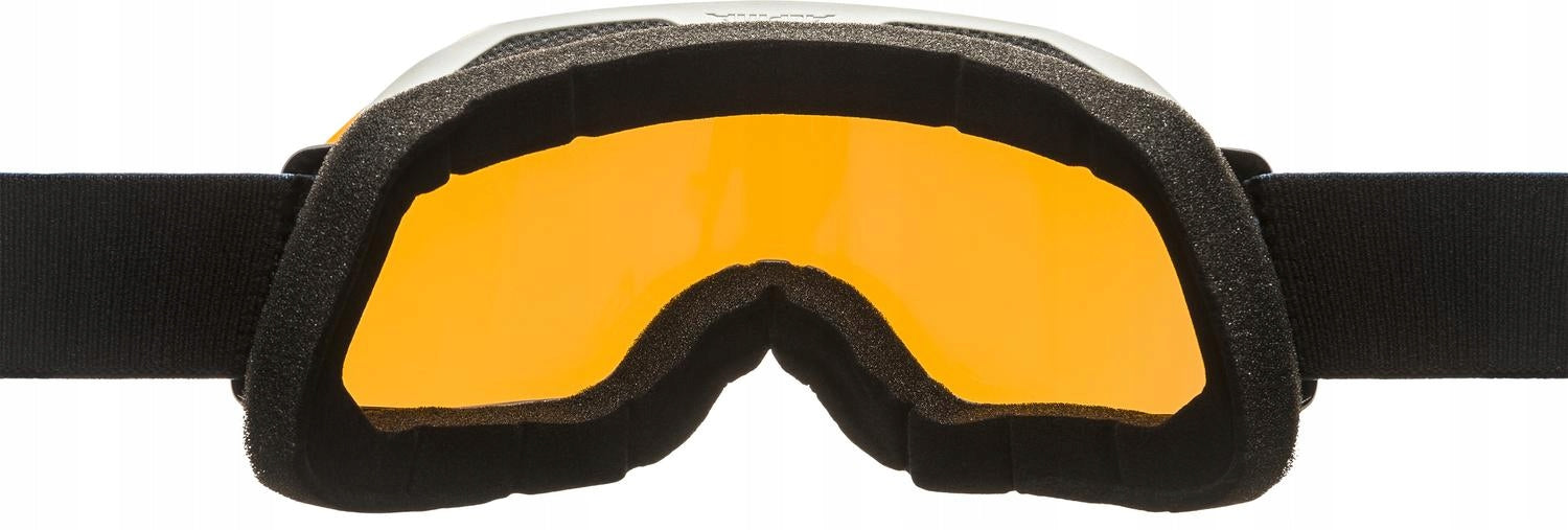 Skibrille Alpina Blackcomb Q-Lite, schwarz/grün 