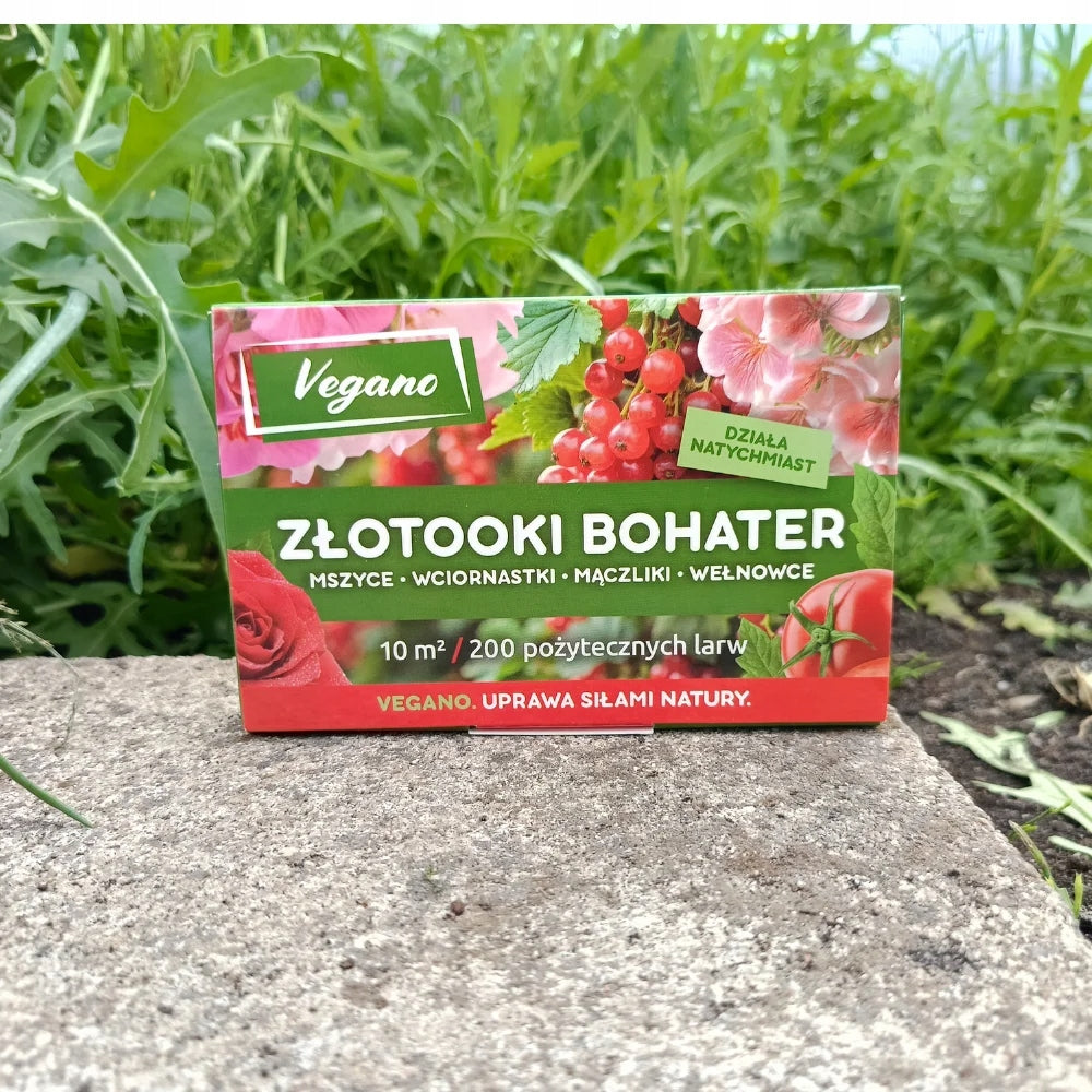 Gold-eyed hero aphids whiteflies and woolly Vegano 200 larvae 10m2 protection EAN (GTIN) 5904826821540
