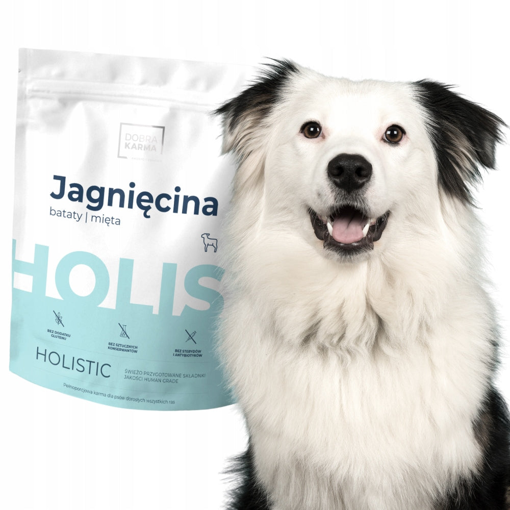 GoodKARMA Holistic lamb sweet potato mint (for adult dogs) 2kg