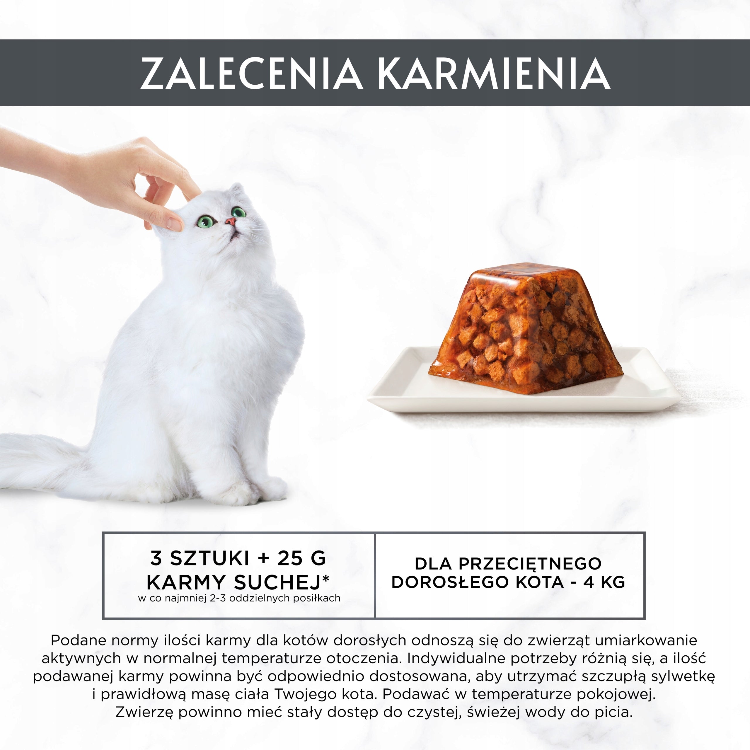 Gourmet Revelations pieces of salmon in jelly 2x57g wet cat food Packaging status original