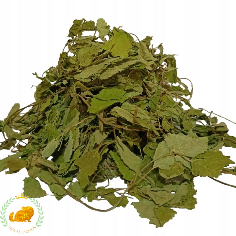 Gout herb - for animals, rodents; 100g