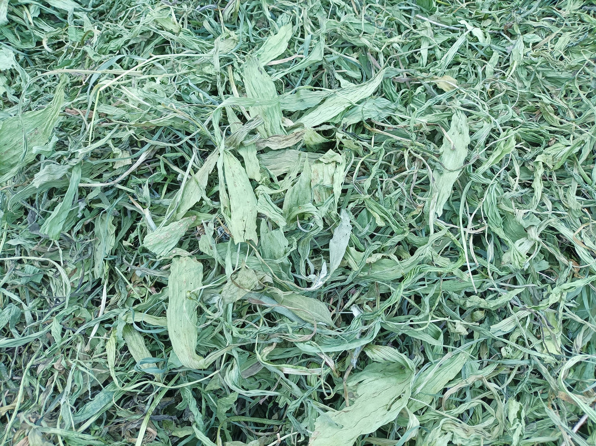 Grandmother Lancet Beautiful Green Dried Leaf For Rabbits Rodents 250g