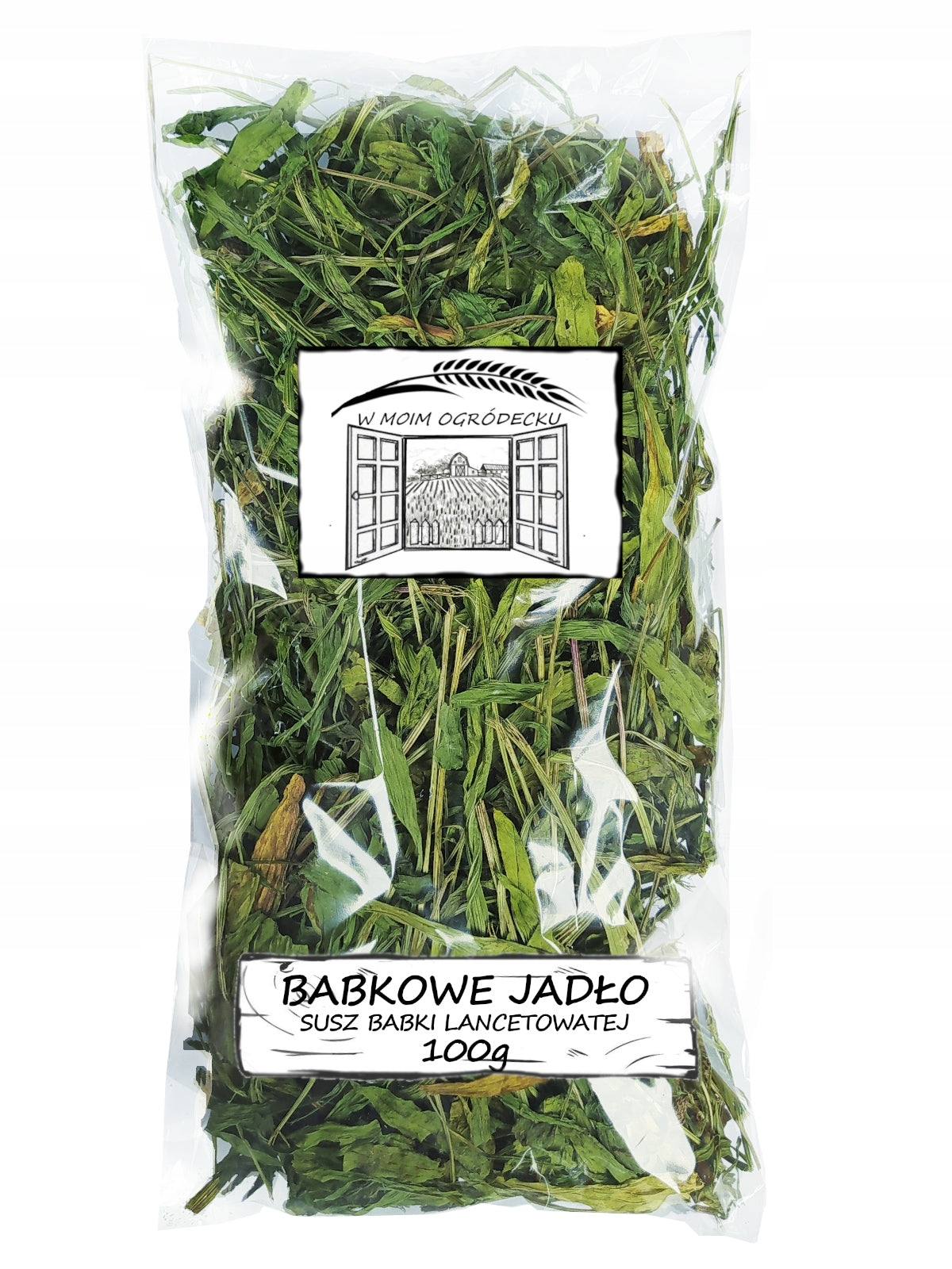 Grandmother lanceolate leaf 100G inMoimOgródeck