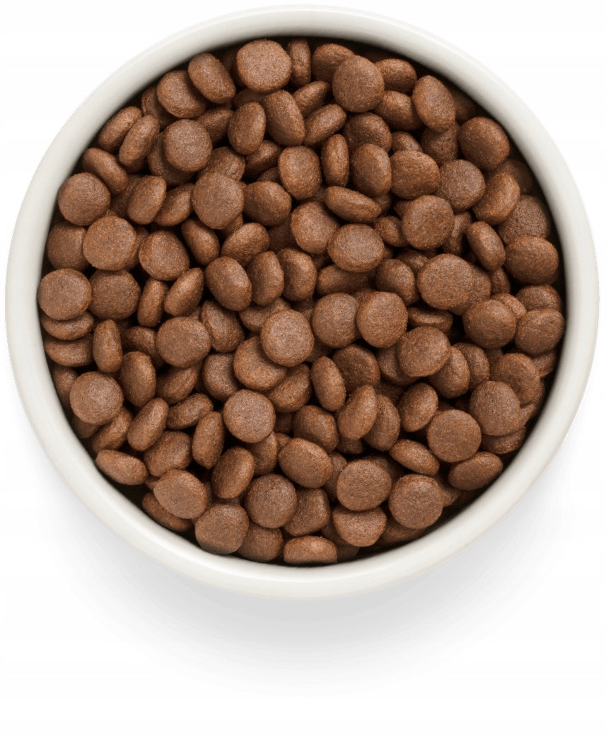 Grandorf Fresh Salmon Adult Medium Maxi Fresh Salmon for Dog 1kg Manufacturer code 5407007852918