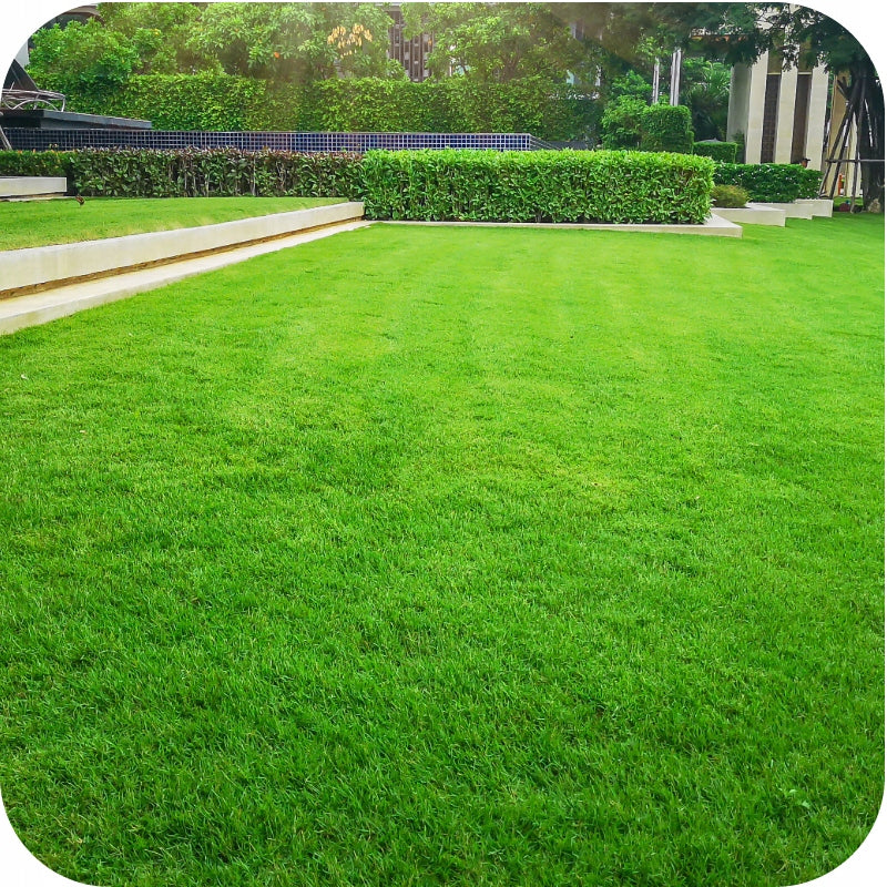 Grass Fertilizer Multicomponent Lawn FERTILIZER 25Kg Granulated FRUCTUS Manufacturer code 5906074140190