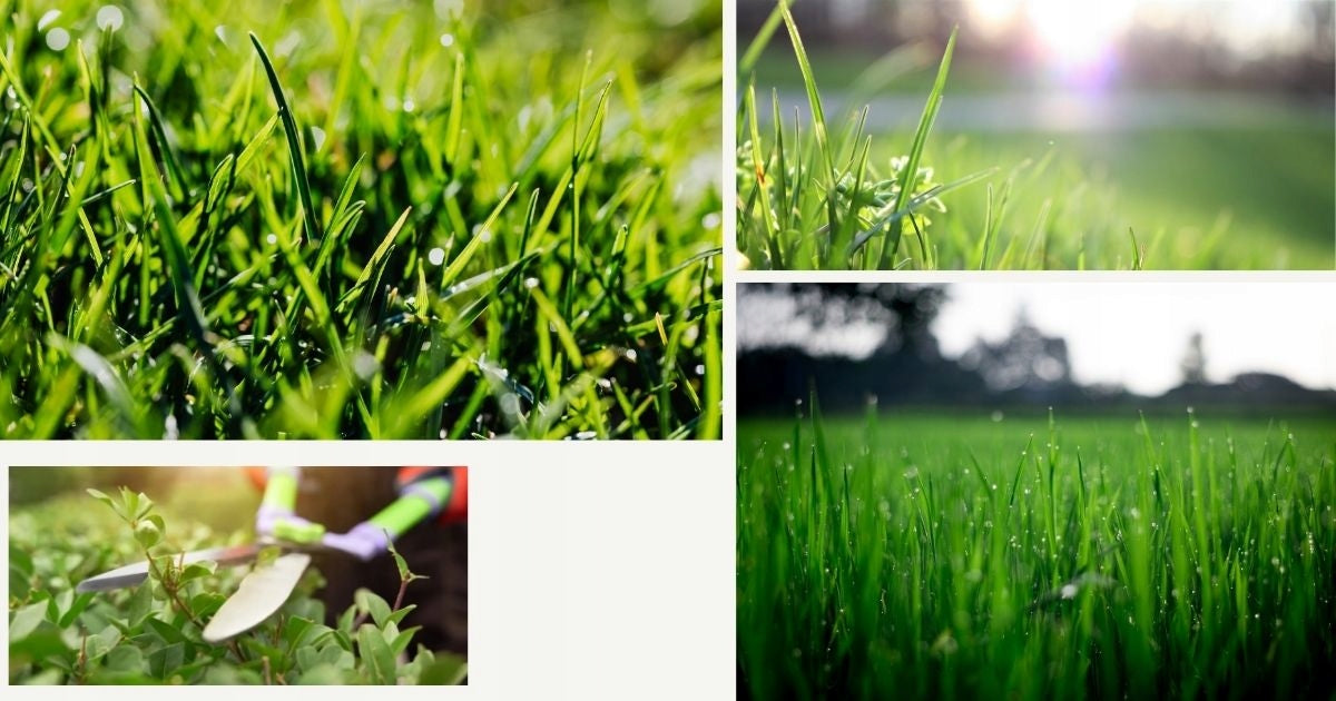 Grass fertilizer YARA mile 25 kg Viking, NPK compound fertilizer Manufacturer YARA