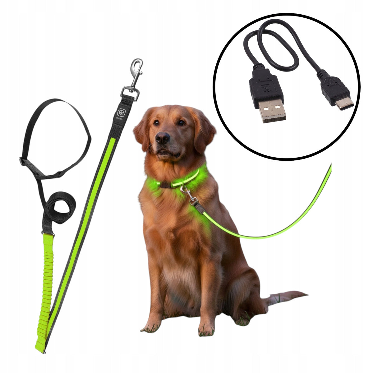 Green Lanyard Illuminated LED Shock Absorber for Running 180-250cm 25mm