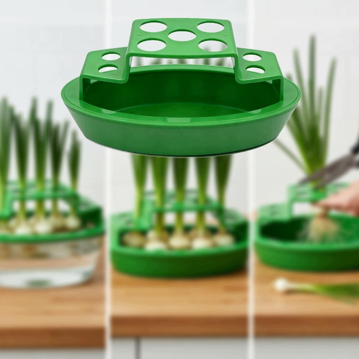 Green Onion Regrower Hydroponic Growing Easy to Use Planting Container Seed