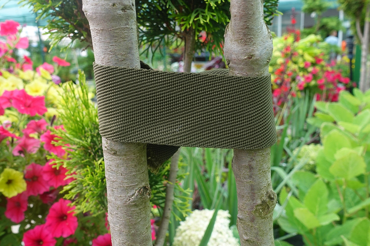 Green Tree Packing Tape 40mm 50m Tree Tiling Poland EAN (GTIN) 5902288243337