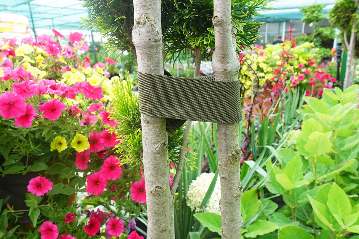 Green Tree Packing Tape 40mm 50m Tree Tiling Poland Manufacturer code PDT40Z