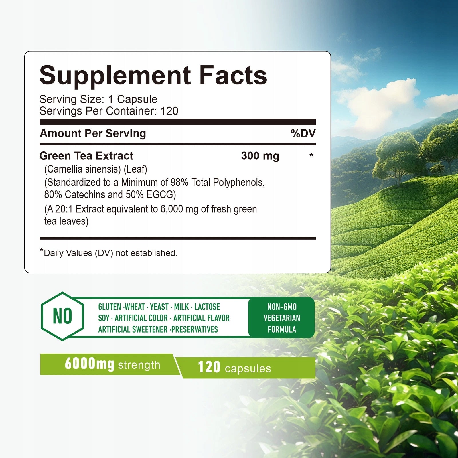 Green tea 6000 mg – 98% polyphenols, catechins, EGCG, weight loss, spa Expiration date at least 1 year from the date of purchase