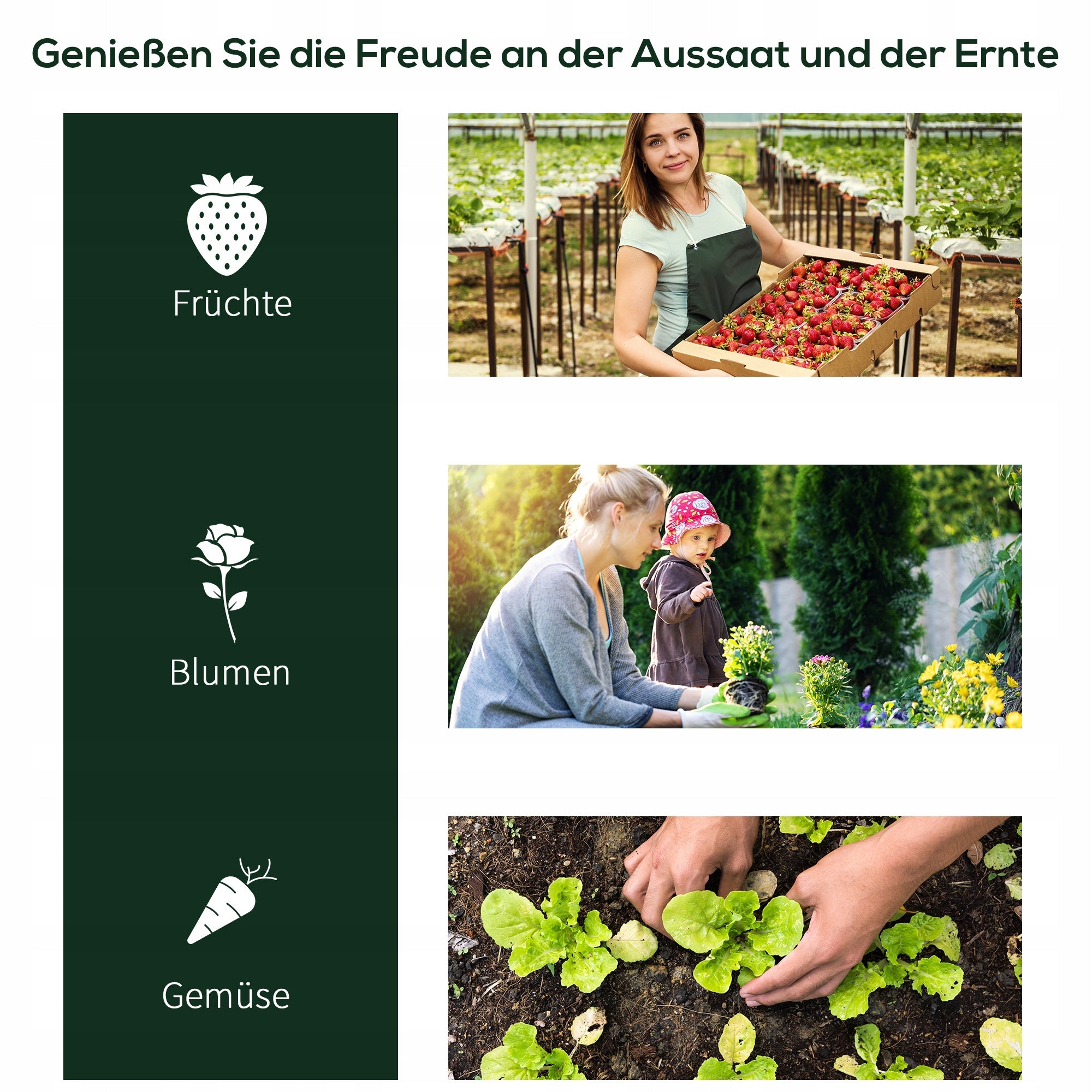 Greenhouse Garden 200x100x80 cm Foil Tunnel for Plants Green Manufacturer code T3323P295815