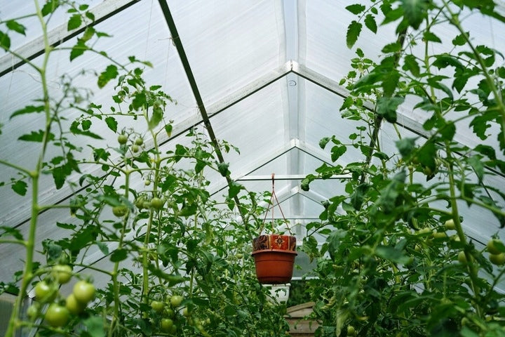 Greenhouse garden house polycarbonate 6mm GARDEN 2,8x6m 3x6 profile 20*40 Length 6 m
