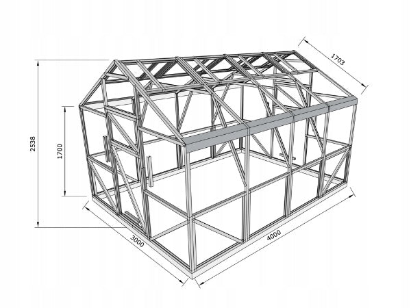 Greenhouse house made of polycarbonate 3x6 m PW 6 mm Strong profiles Steel Victoria Packaging status original
