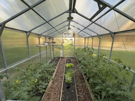 Greenhouse made of polycarbonate DOMEK 2,5x6 m profiles 40x20 polycarbonate 6mm Width 2.5 m