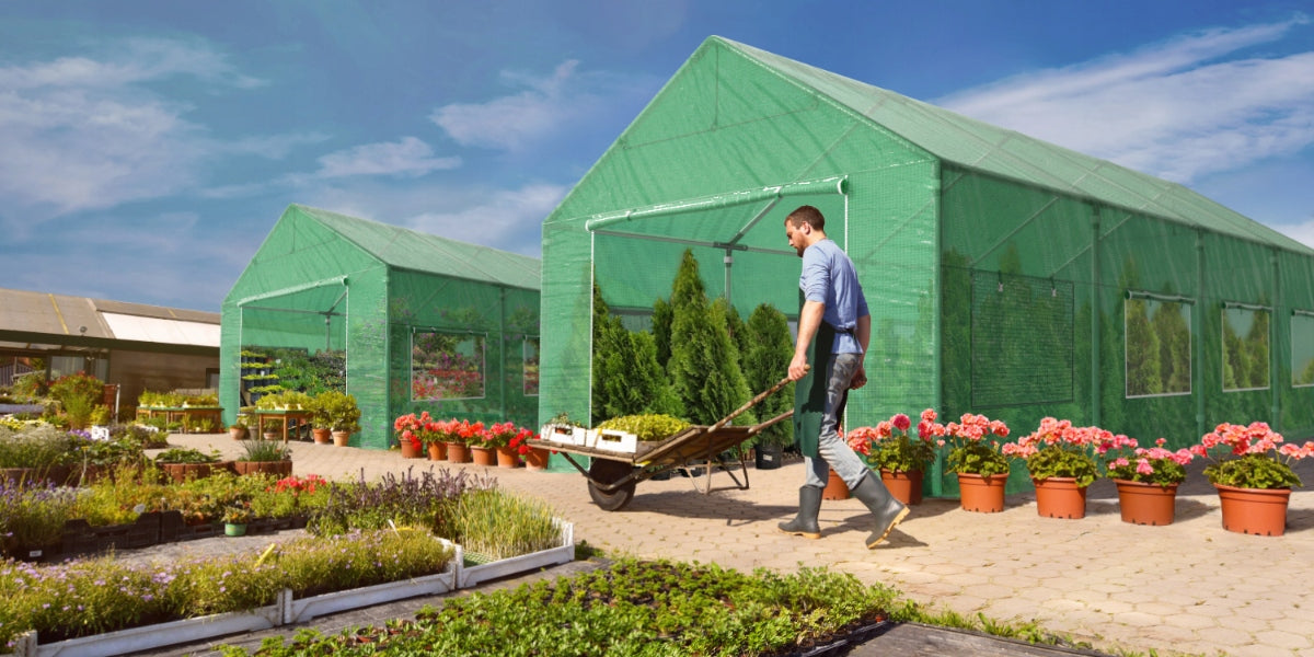 Greenhouse plating Greenhouse garden film 3x6m Length 6 m