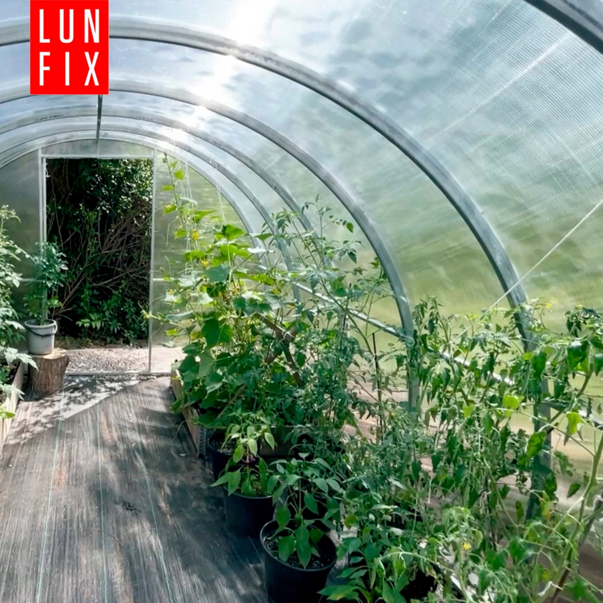 Greenhouse polycarbonate 3x6m Lun Fix garden 20x20mm polycarbonate tunnel 4mm Manufacturer Lun Fix