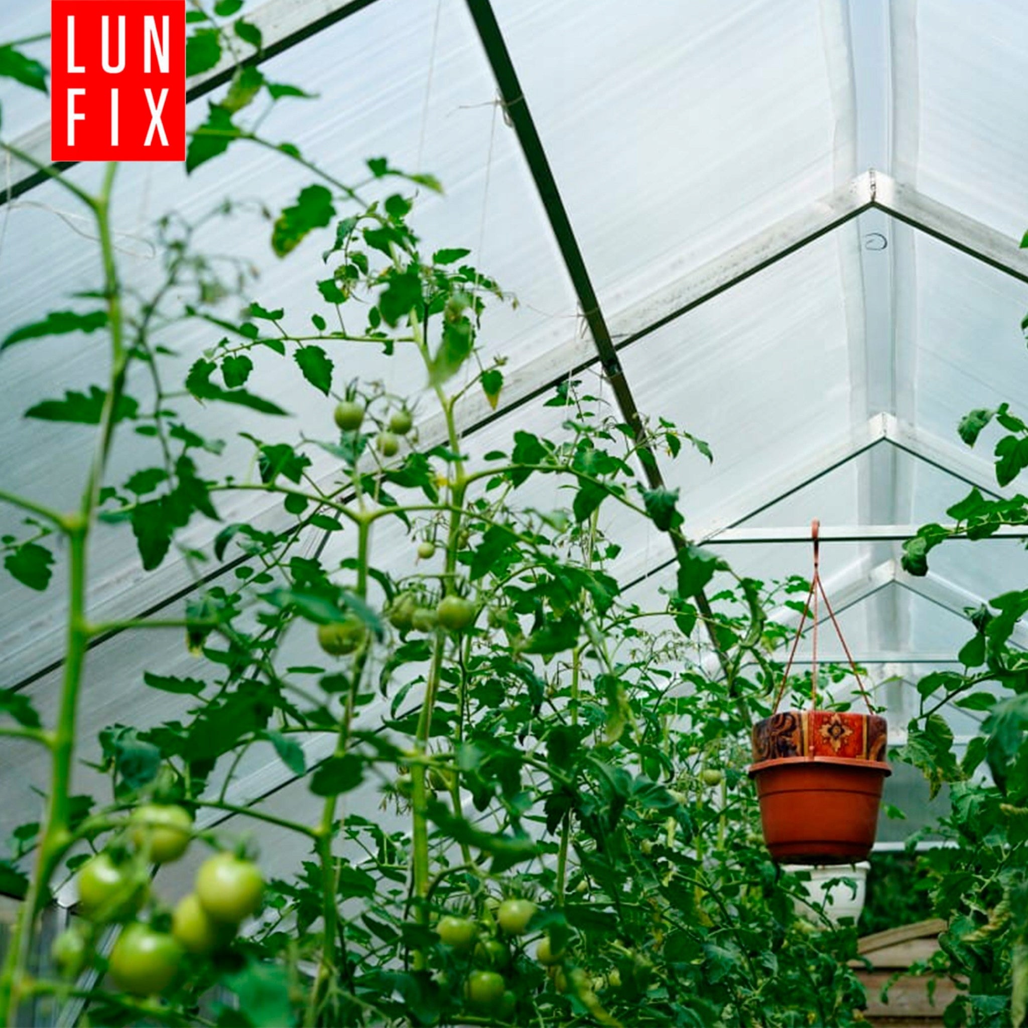 Greenhouse polycarbonate 3x8m Lun Fix garden 20x40mm polycarbonate house 4mm Width 2.8 m