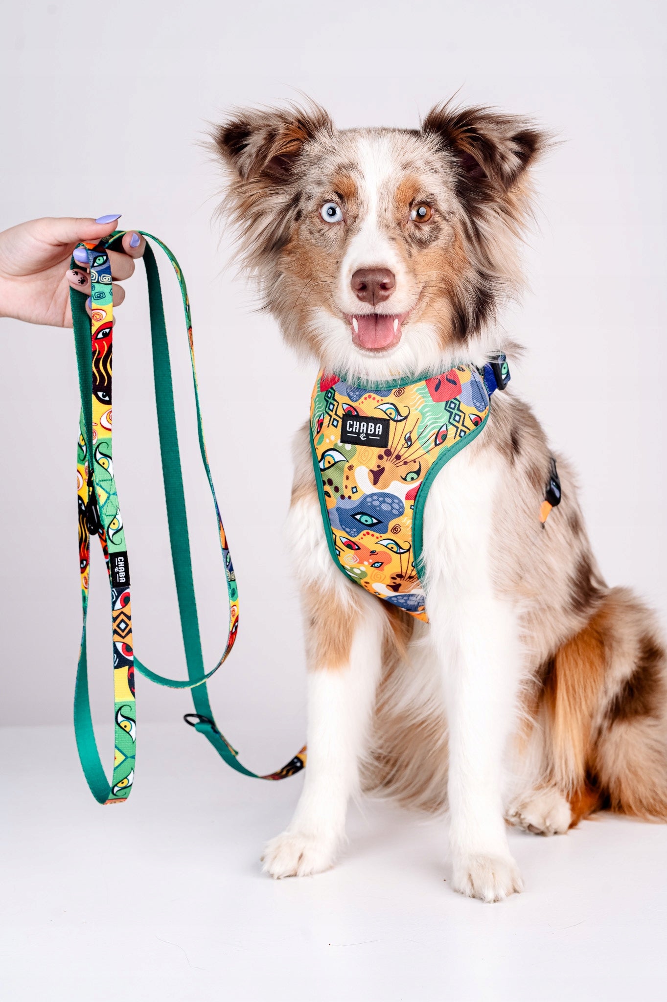 Guard Pressure-Free Harness for Dogs - Comfort Series CHABA |Jumbo| Kind walking harness