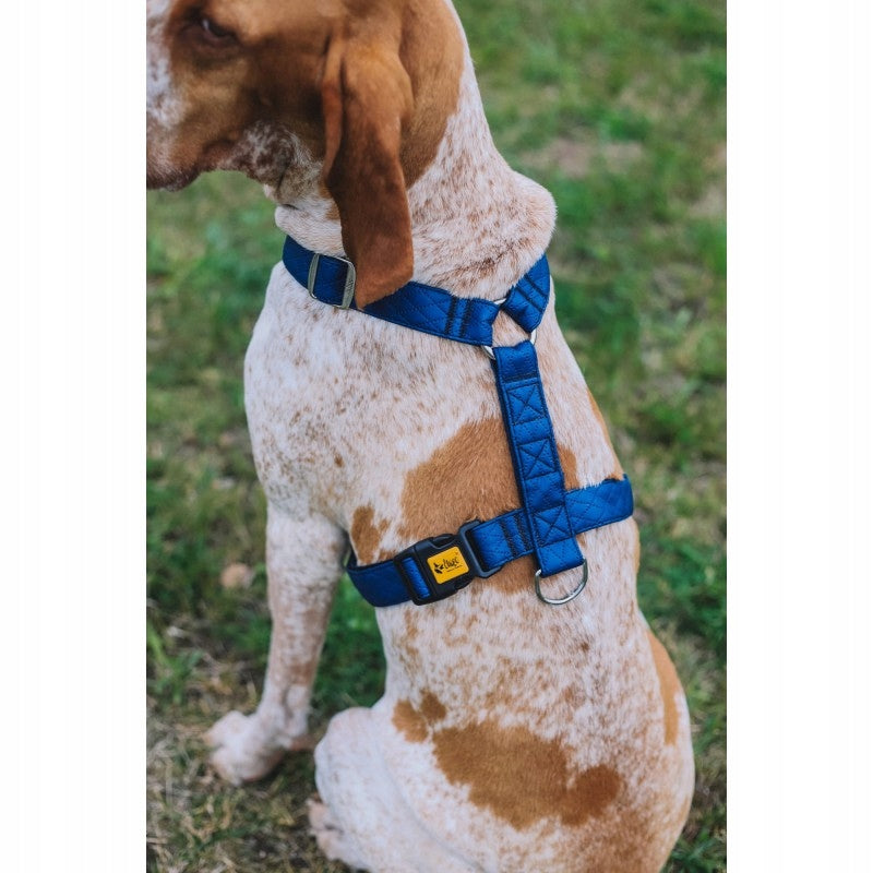 Guard Terra Ocean Two-Strap Harness, size. M Manufacturer code 94425