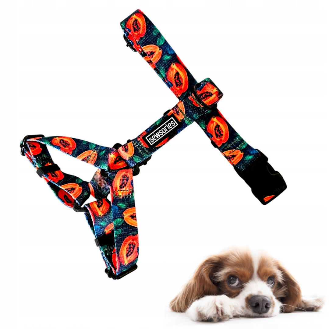 Guard dog harness SEWSORIES PAPAYA FUSION size XS tape 2 cm Brand SEWSORIES