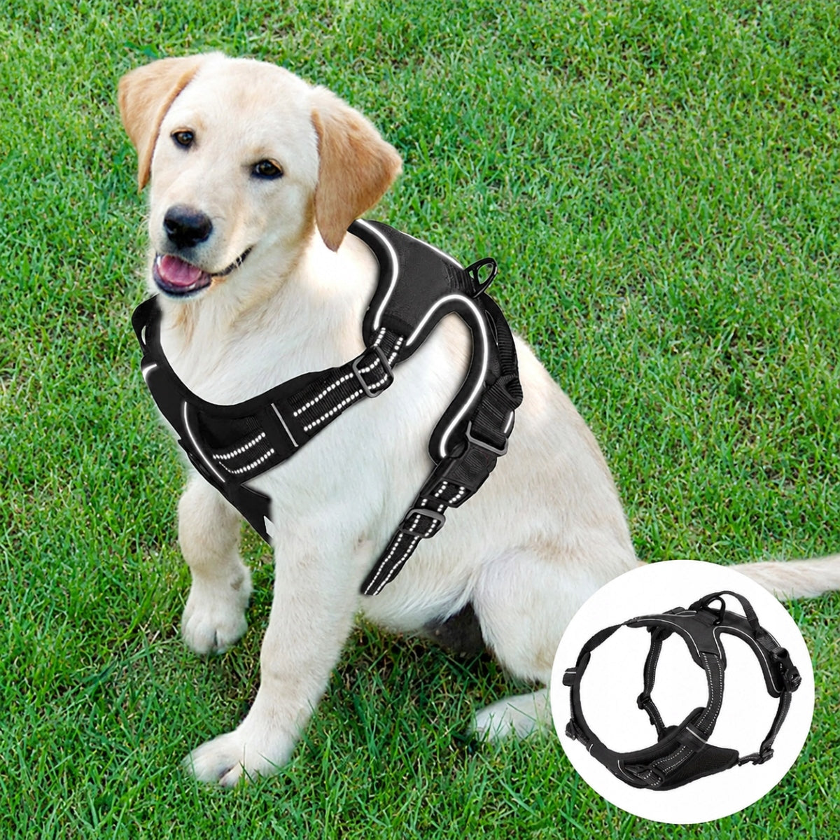 Guard dog harness STRONG solid PREMIUM black XL Packaging status original