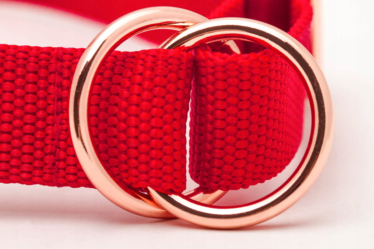 HALF-CLAMP DOG COLLAR, STRONG RED, M/L Brand Tatar Dog