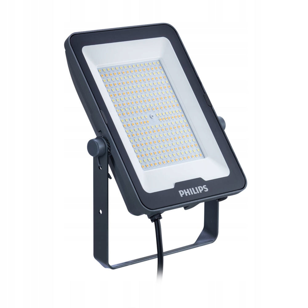 HALOGEN LED FLOODLIGHT 100W 12000lm 3000-4000-6500K PHILIPS BVP169