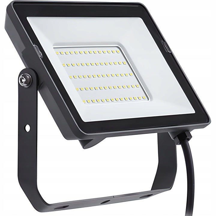 HALOGEN PHILIPS LED PROTECTLINE SPOTLIGHT FLOODLIGHT 30W 3000K LIGHTING Packaging status original