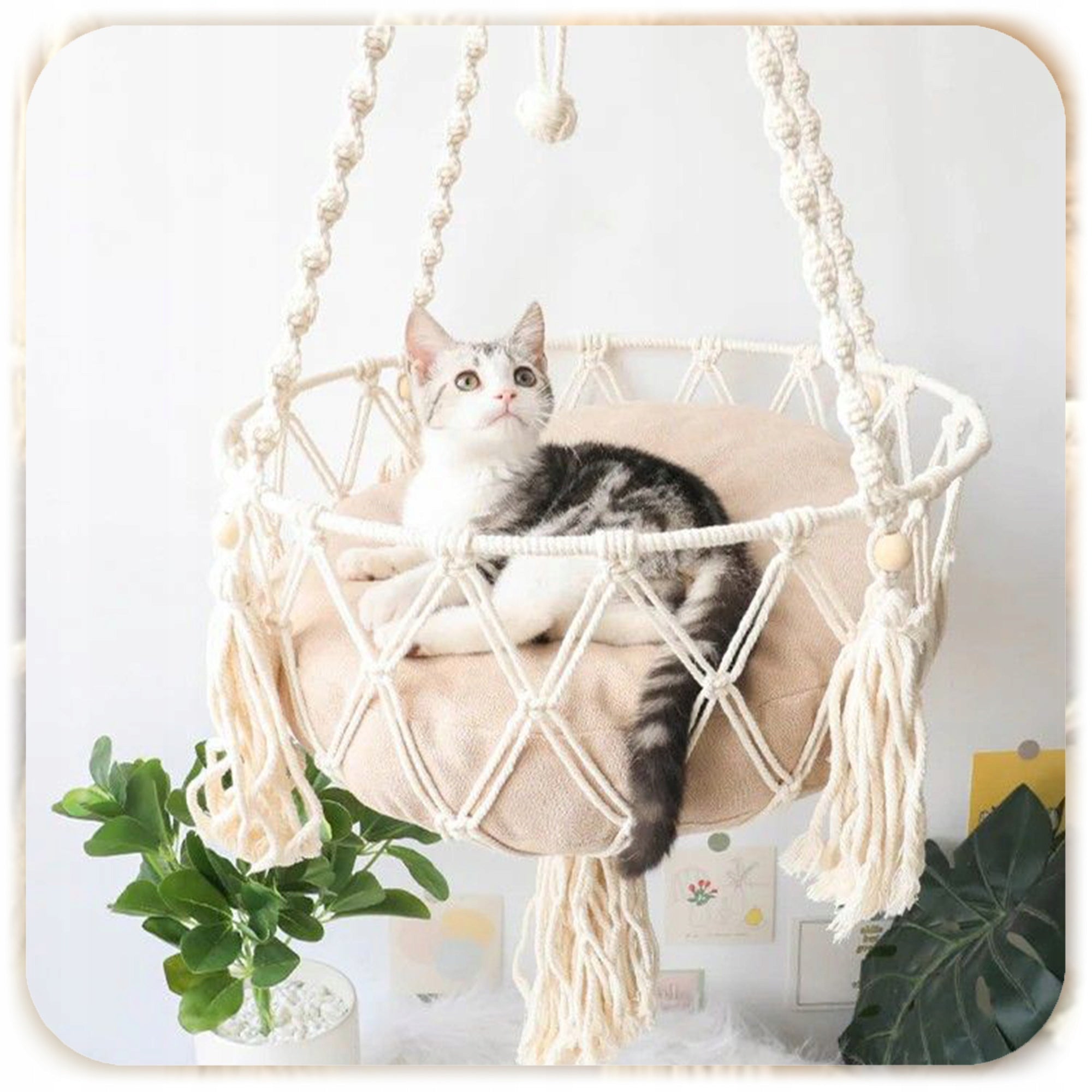 HAMMOCK CAT BED BOHO MACRAME HANGING UNDER THE CEILING 40x40CM + PILLOW Kind hammock