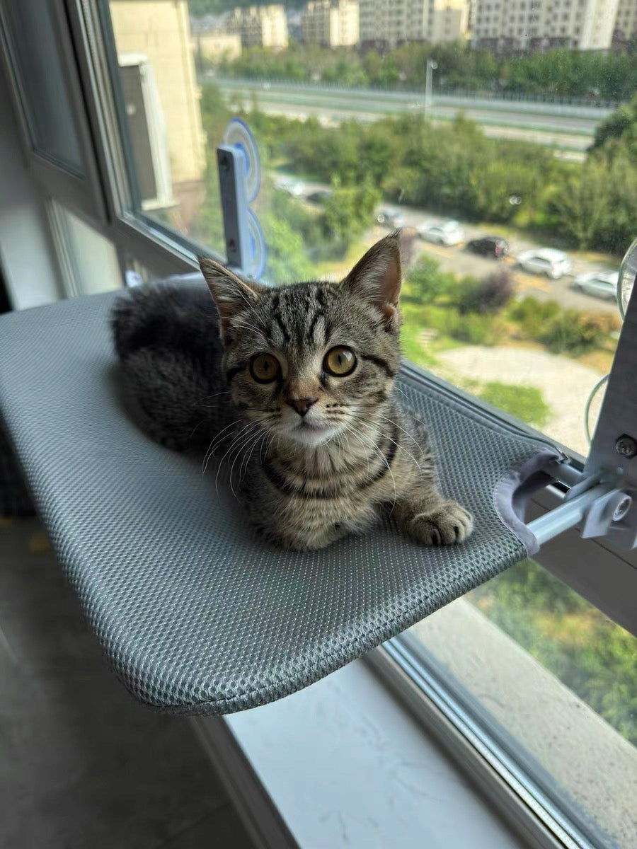 HAMMOCK CAT BED FOR WINDOW 45×30, IDEAL FOR YOUR PURR SIEMIEC Brand SIEMIEC