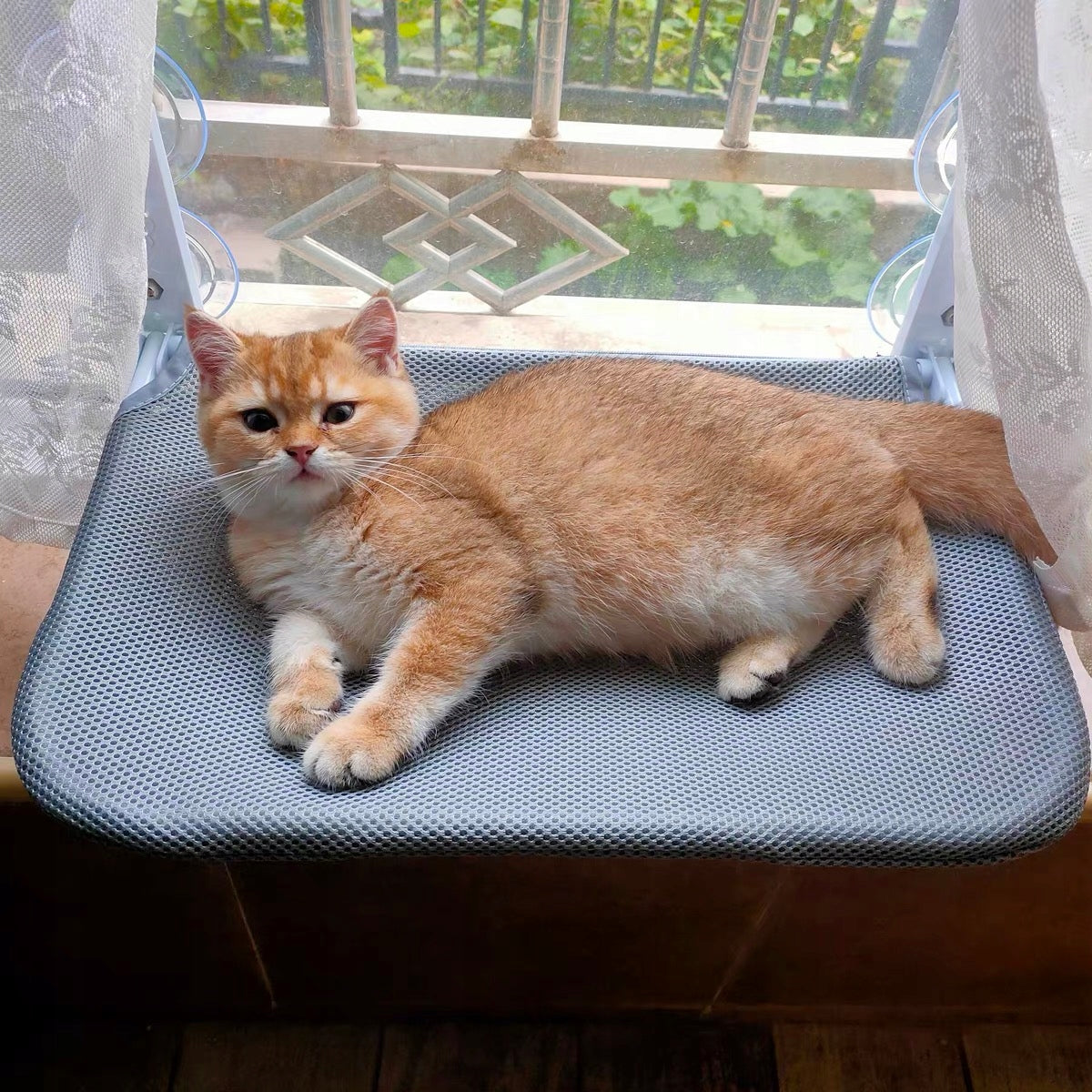 HAMMOCK CAT BED FOR WINDOW 45×30, IDEAL FOR YOUR PURR SIEMIEC Manufacturer code 5903682320556