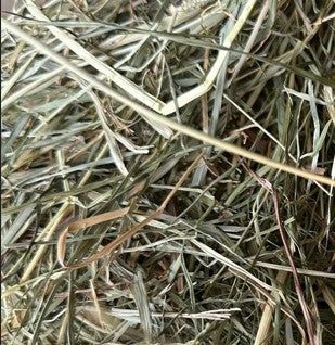 HAMSTER RABBIT RODENT HAY 1 kg Guinea Pig Food