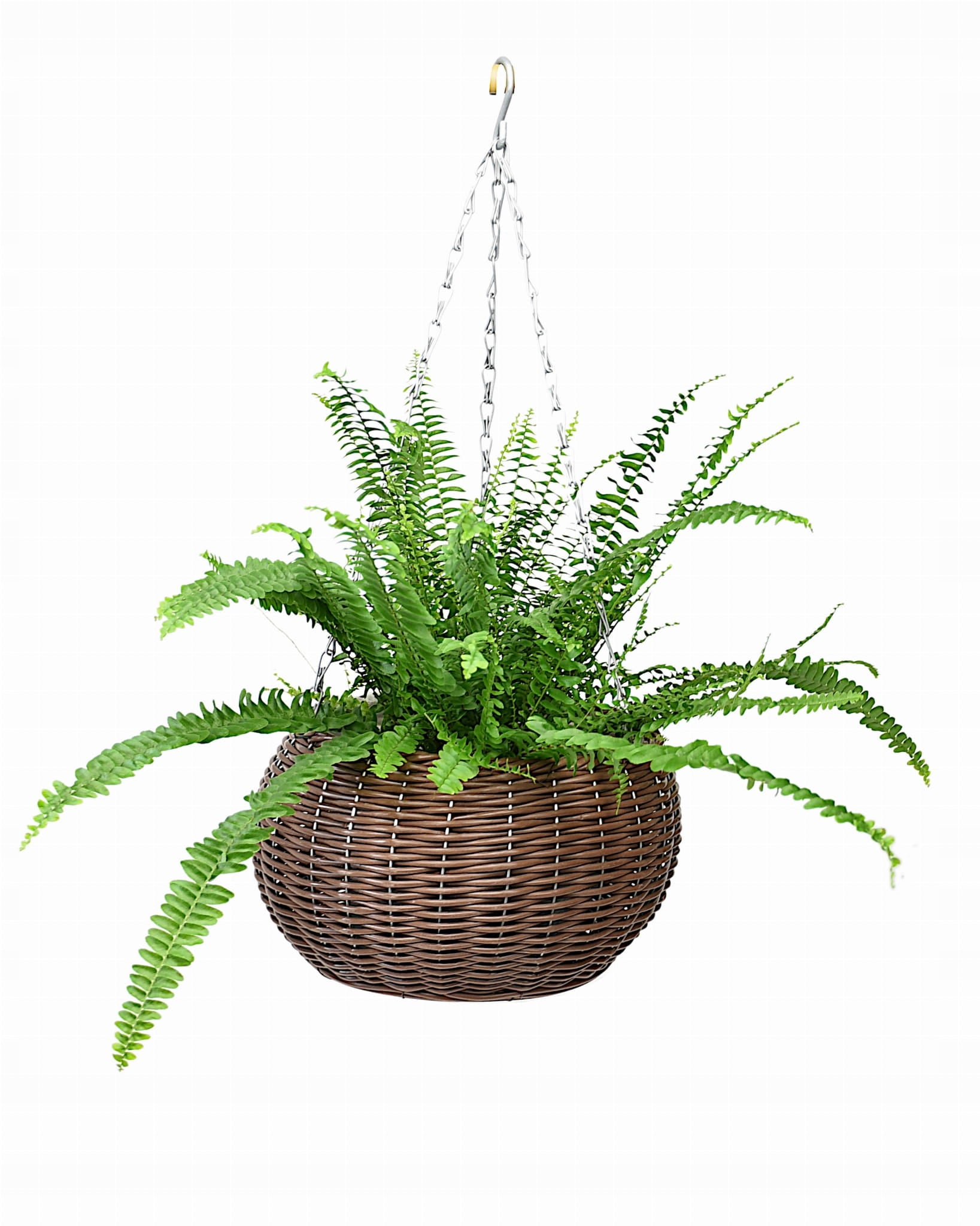 HANGING FLOWER POT basket for balcony terrace technoratan 63-1159 PE Brand Dixiestore