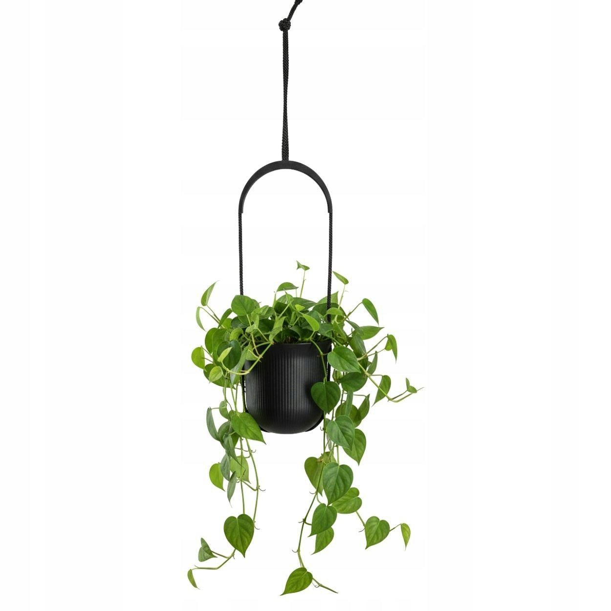 HANGING PLANTER BLACK for balcony terrace plastic cover flowers 17,9x17,3cm Packaging status original
