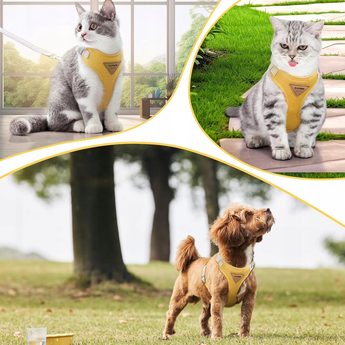 HARNESS +CAT LEASH -M-ORANGE Manufacturer code B0C9SXHKVN
