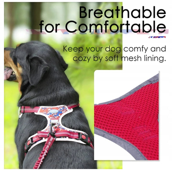 HARNESS DOG COLLAR HOLDER VEST SAFE SIZE L Manufacturer code Sdad