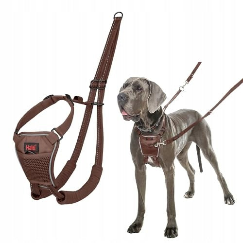 HARNESS DOG HARNESS ANTI-PULL SIZE L REFLECTIVE Packaging status original