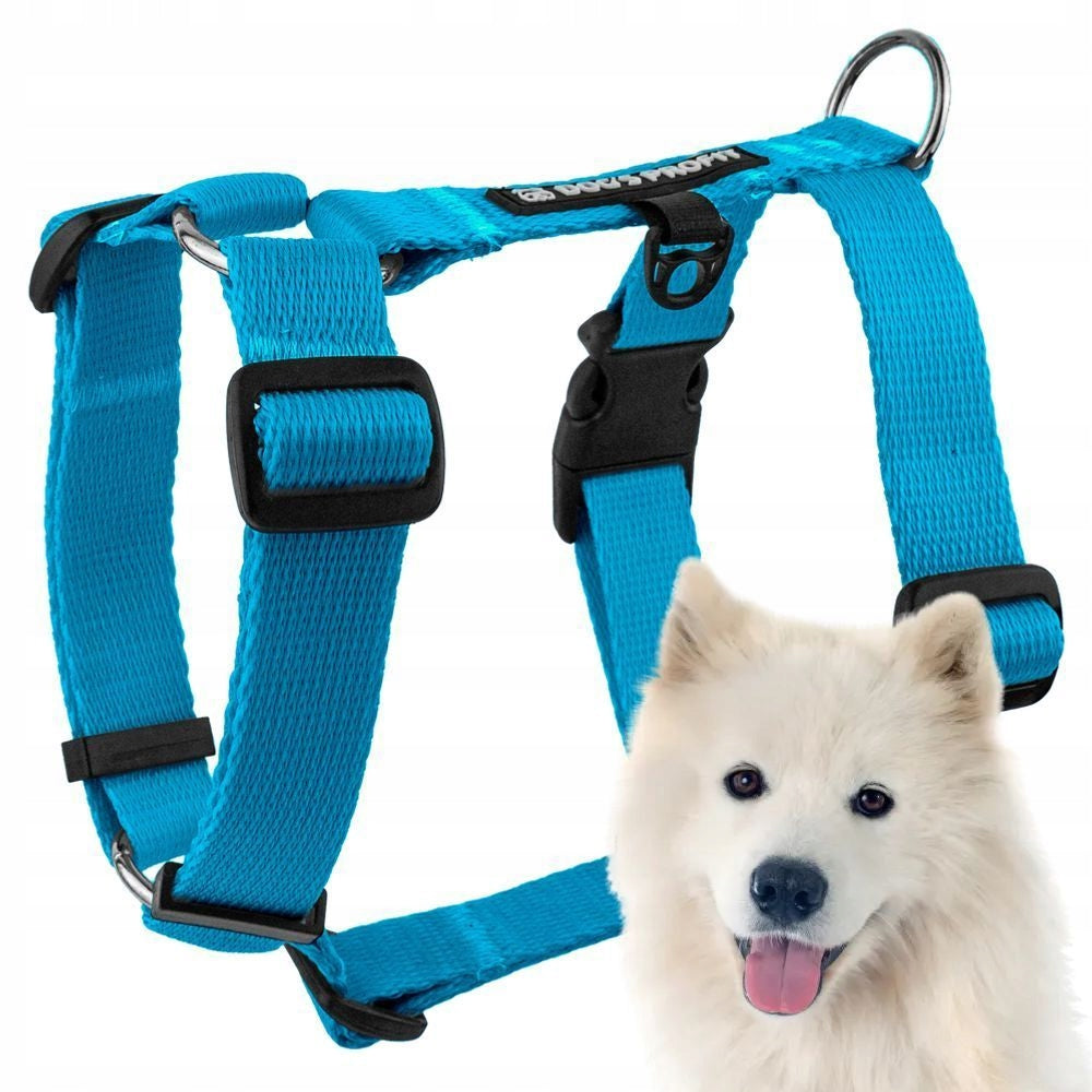 HARNESS FOR BIG DOG GUARD L BORDER COLLIE BLUE WITH ADJUSTABLE SHEEPDOG