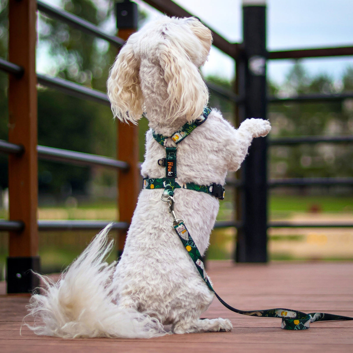 HARNESS FOR PUPPY DURABLE. FERRET PATTERN. SILVER FITTINGS. Size XS Manufacturer code Szelki dla szczeniaka