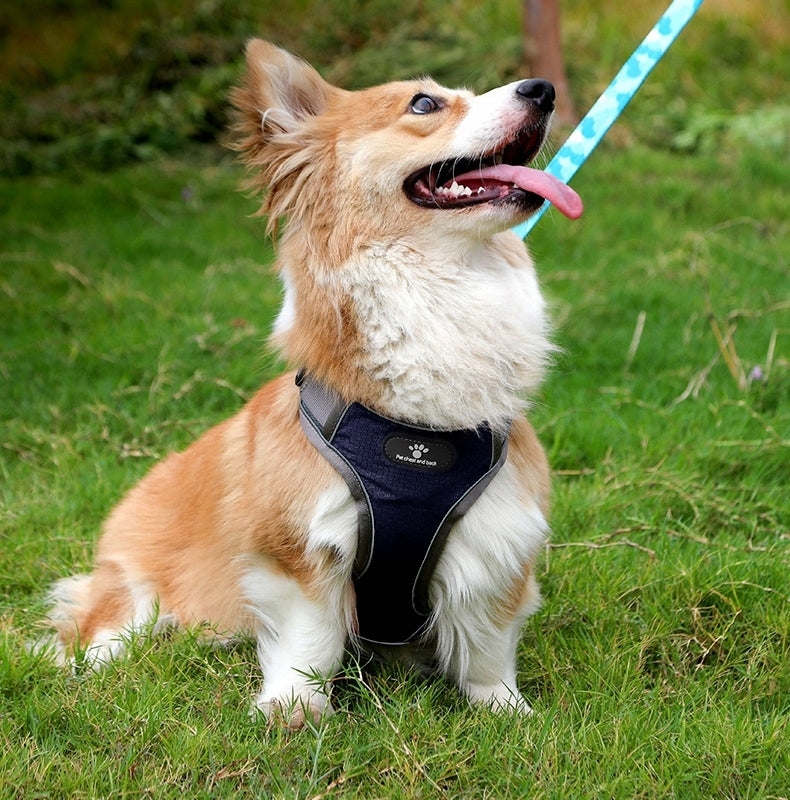 HARNESS FOR SMALL DOG PRESSURE-FREE WALKING STRONG GLARE ADJUSTMENT r. M Brand no brand