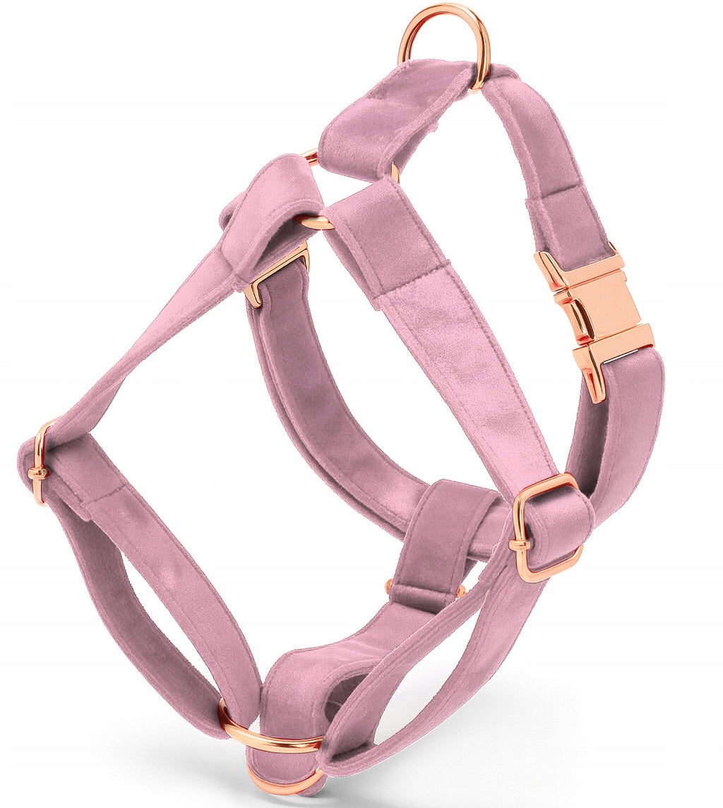 HARNESS GUARD VELOUR FOR DOG ADJUSTABLE PRESSURE-FREE COMFORTABLE VELOUR ros. M Manufacturer code GUARD.WELUR.ROSE.M